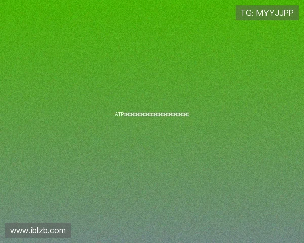 ATP成都网球公开赛商竣程与穆塞蒂成功晋级决赛上演精彩对决